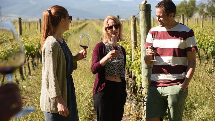 Rioja Alta Wine Day: 15th-Century Cellar, Grape Treading, Barrels and Lunch (4/8)