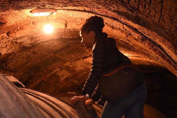 Rioja Alta Wine Day: 15th-Century Cellar, Grape Treading, Barrels and Lunch (3/8)