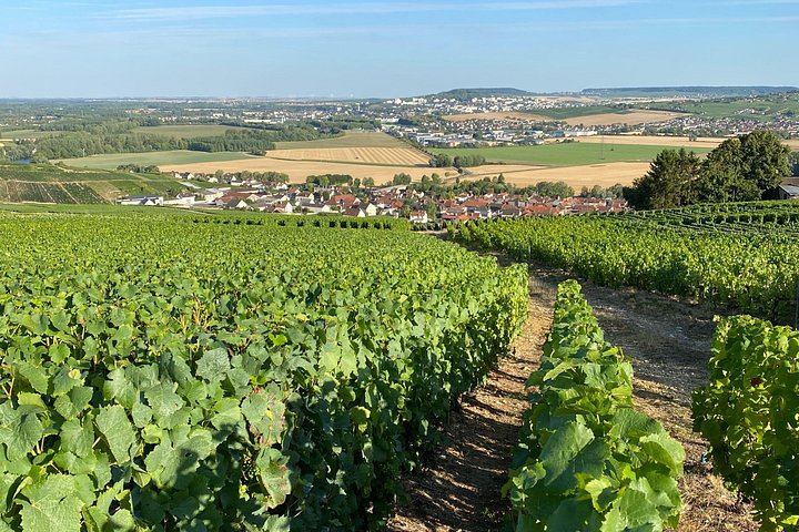 Small-Group Champagne Day from Reims: Cathedral, Two Select Estates, Hautvillers, Épernay (10/12)