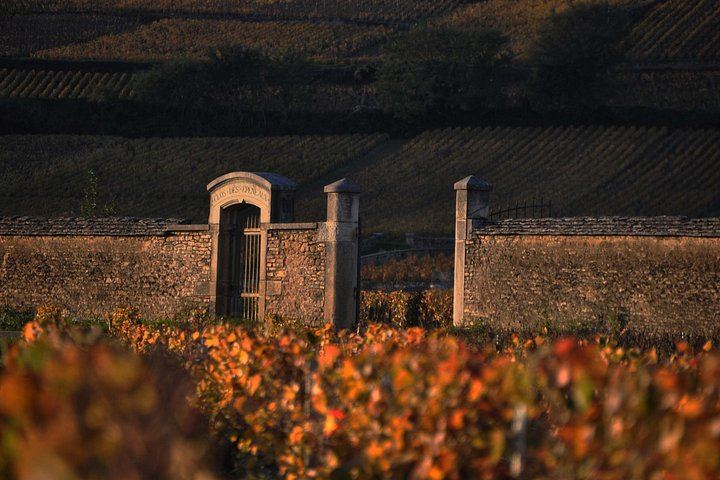 Full-Day Private Burgundy Tour: 3 Tastings, Estate Lunch, 6 Premiers & Grands Crus (10/12)