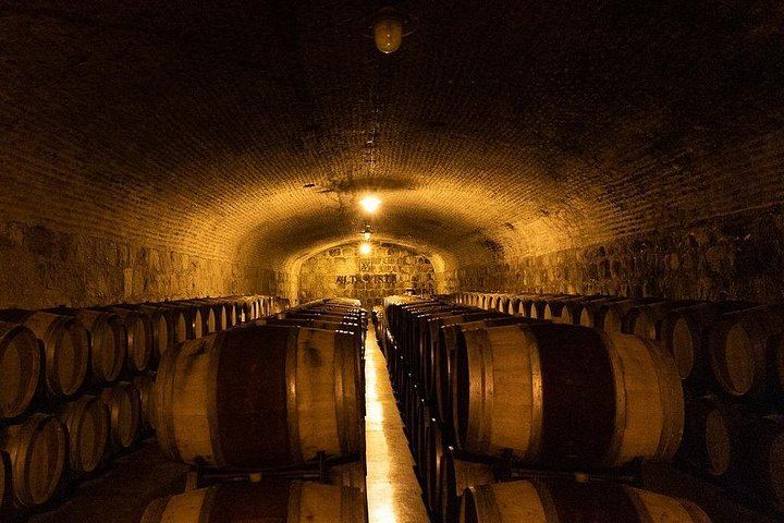 Private Uco Valley Wine Tour from Mendoza: La Azul Tasting and Bousquet Organic Lunch (11/12)