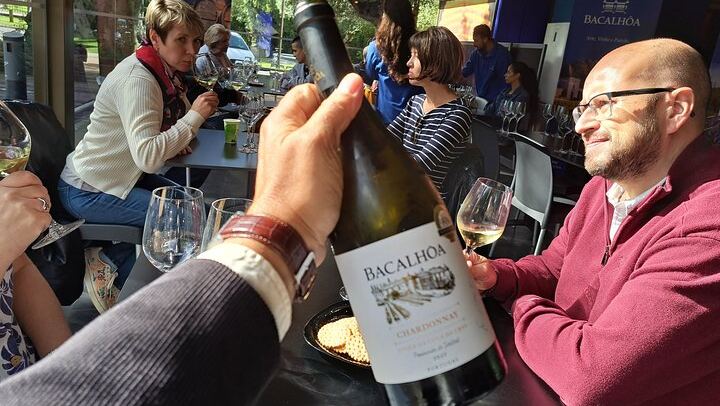 Azeitão Wine Tour with Bacalhôa and Fonseca Tastings and a Cristo Rei Viewpoint Stop (1/12)
