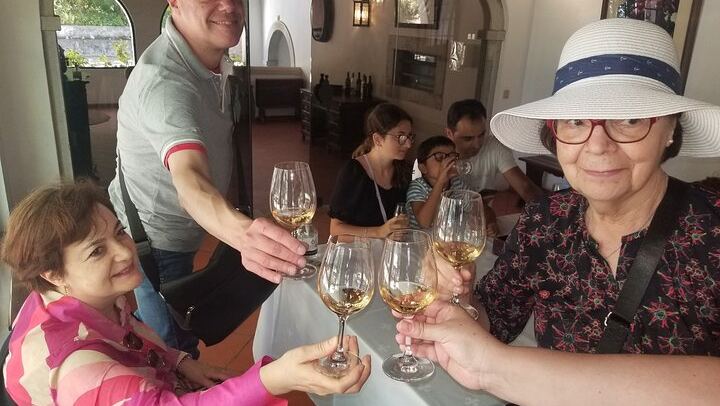 Azeitão Wine Tour with Bacalhôa and Fonseca Tastings and a Cristo Rei Viewpoint Stop (2/12)