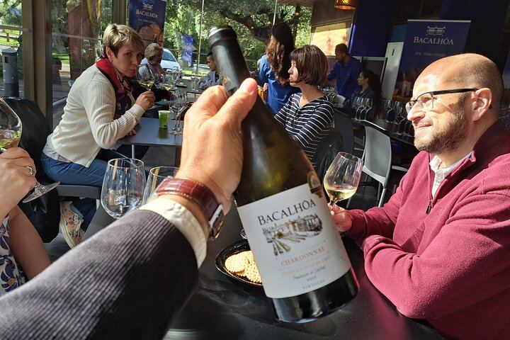 Azeitão Wine Tour with Bacalhôa and Fonseca Tastings and a Cristo Rei Viewpoint Stop (1/12)