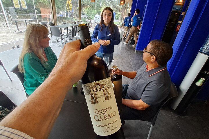 Azeitão Wine Tour with Bacalhôa and Fonseca Tastings and a Cristo Rei Viewpoint Stop (11/12)
