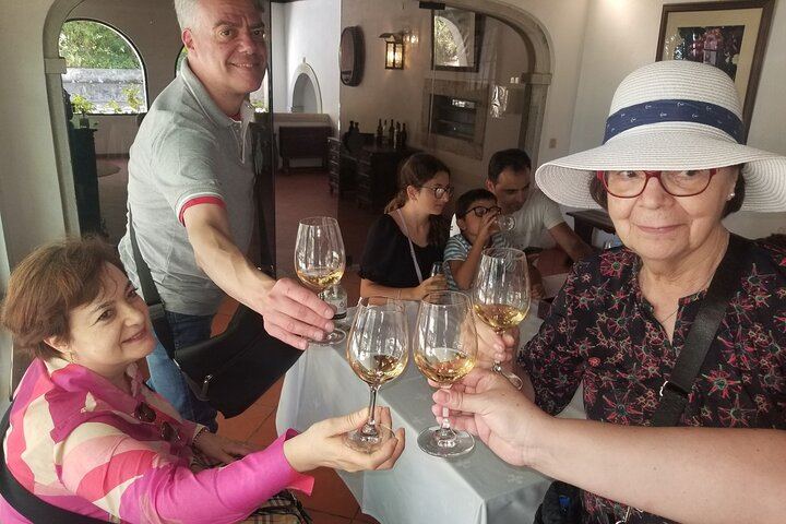 Azeitão Wine Tour with Bacalhôa and Fonseca Tastings and a Cristo Rei Viewpoint Stop (2/12)