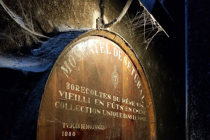 Azeitão Wine Tour with Bacalhôa and Fonseca Tastings and a Cristo Rei Viewpoint Stop (6/12)