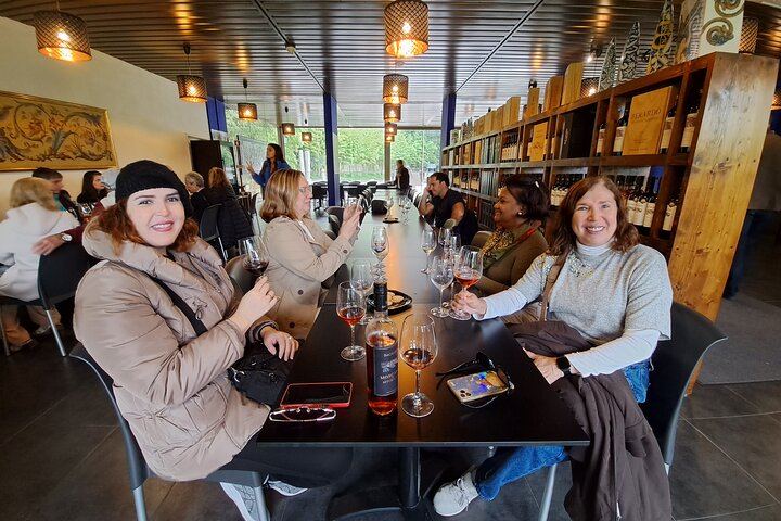 Azeitão Wine Tour with Bacalhôa and Fonseca Tastings and a Cristo Rei Viewpoint Stop (10/12)
