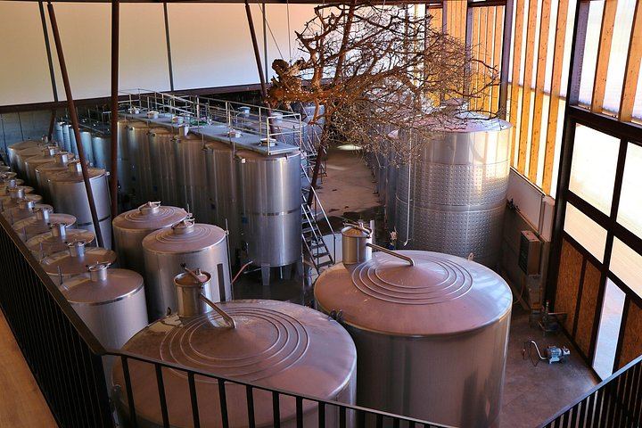 Private Setúbal Wine Day from Lisbon: Three Family Cellars or Two Plus a Village Lunch (12/12)