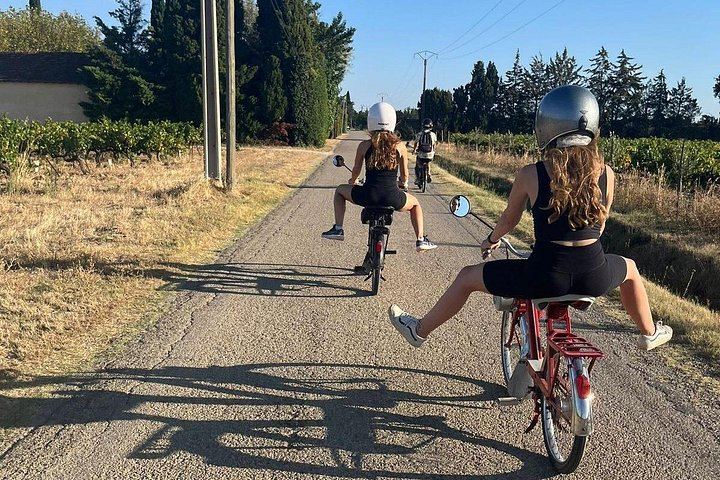 Vintage Solex Ride Through the Vineyards of Domaine des Favards, with Organic Wine Tasting (8/10)