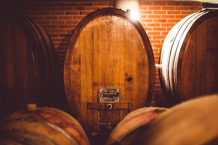 Cantina Francone in Neive: Five Barbaresco and Barolo Wines, Museum and Cellars (6/9)