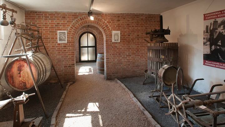 Cantina Francone in Neive: Five Barbaresco and Barolo Wines, Museum and Cellars (3/9)