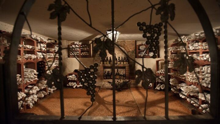 Cantina Francone in Neive: Five Barbaresco and Barolo Wines, Museum and Cellars (4/9)