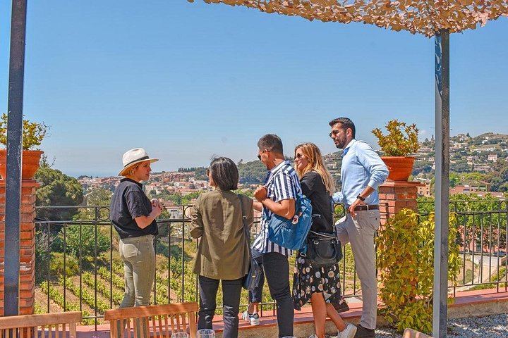 Private Barcelona Coast E-Bike Ride to an Alella Winery, with Wines and Lunch (3/12)