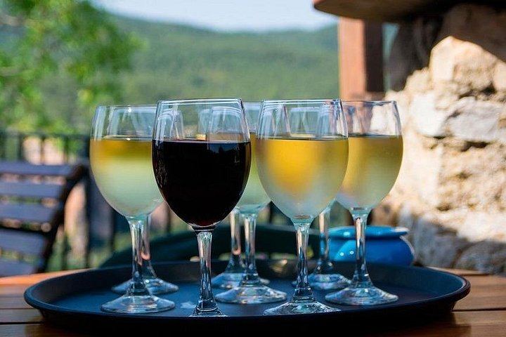 Private Barcelona Coast E-Bike Ride to an Alella Winery, with Wines and Lunch (10/12)