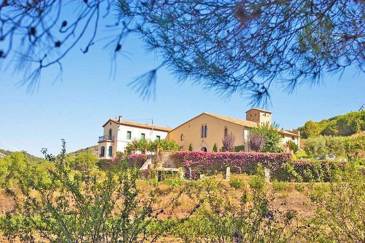 Private Barcelona Coast E-Bike Ride to an Alella Winery, with Wines and Lunch (4/12)