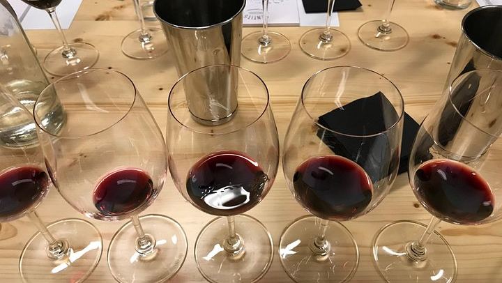 Relaxed Wine Tasting with a Sommelier at Wine Secrets, near Passeig de Gràcia (4/5)