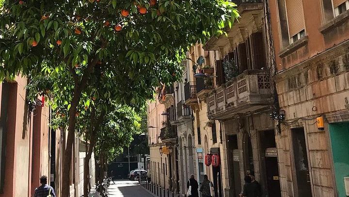 Relaxed Wine Tasting with a Sommelier at Wine Secrets, near Passeig de Gràcia (3/5)