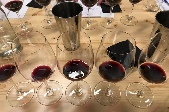 Relaxed Wine Tasting with a Sommelier at Wine Secrets, near Passeig de Gràcia (4/5)