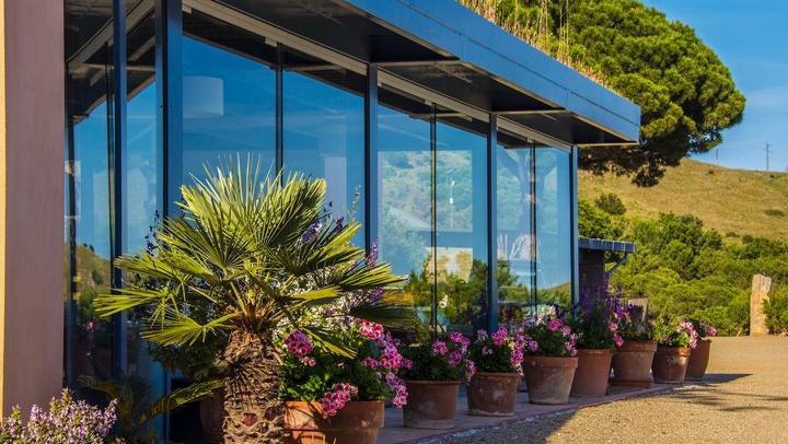 Barcelona Sailboat Trip to an Alella Winery with Tasting, Small Group (2/12)
