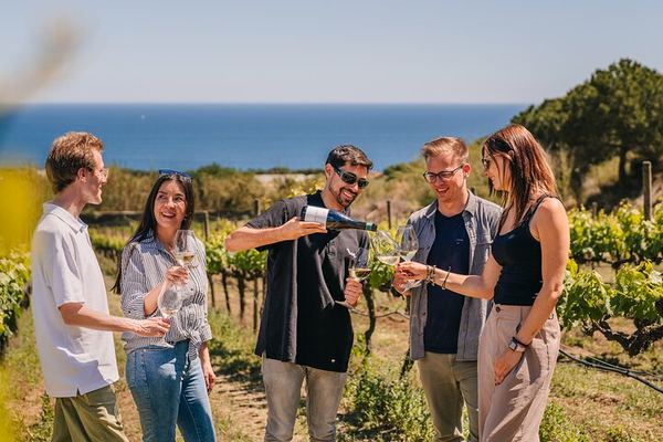 Barcelona Sailboat Trip to an Alella Winery with Tasting, Small Group