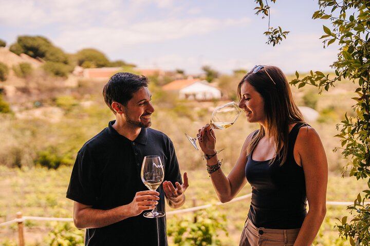 Barcelona Sailboat Trip to an Alella Winery with Tasting, Small Group (12/12)