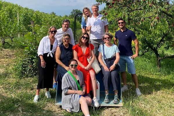 Private Barolo and Barbaresco Day with a Sommelier: Two Family Wineries, Wine Bar Lunch