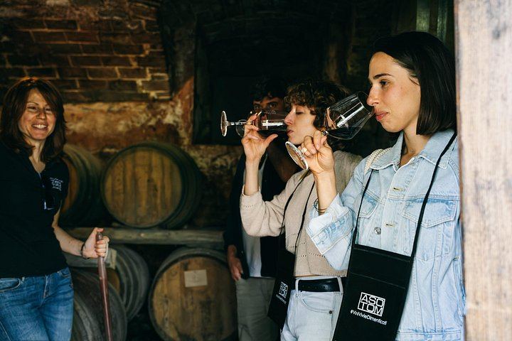 Private Barolo and Barbaresco Day with a Sommelier: Two Family Wineries, Wine Bar Lunch (4/5)