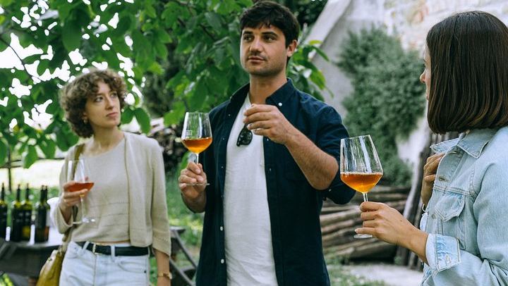 Private Barolo and Barbaresco Day with a Sommelier: Two Family Wineries, Wine Bar Lunch (3/5)