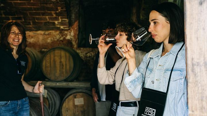 Private Barolo and Barbaresco Day with a Sommelier: Two Family Wineries, Wine Bar Lunch (4/5)