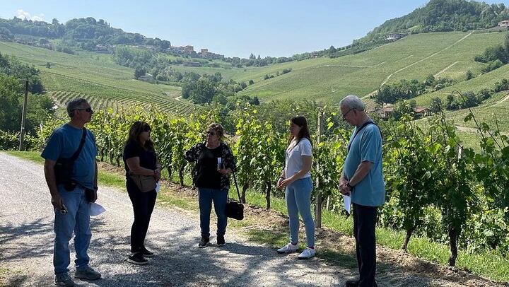 Small-Group Barolo and Barbaresco Tour by Van, Max 8 Guests, Three Wineries (4/6)