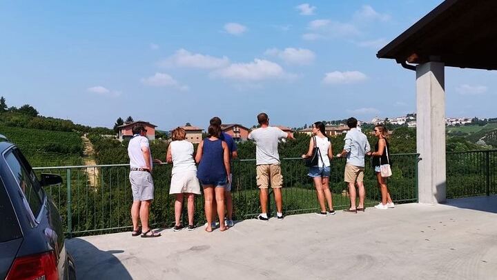 Barolo and Barbaresco Day from Turin with a Langhe-Born Winemaker, Two Family Wineries (2/7)