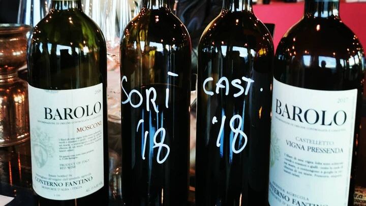 Organic Family Winery Tasting and Vineyard Tour from Alba, Led by the Grower and Winemaker (2/10)