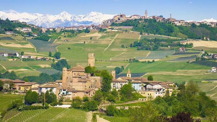 Small-Group Barolo and Barbaresco Tour by Van, Max 8 Guests, Three Wineries (1/6)