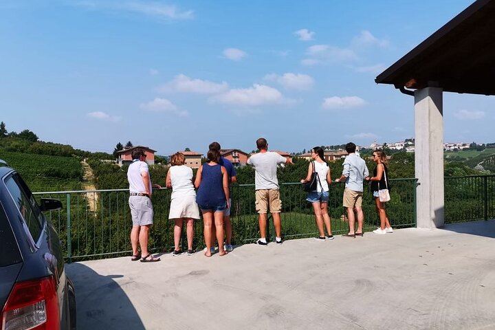 Barolo and Barbaresco Day from Turin with a Langhe-Born Winemaker, Two Family Wineries (2/7)