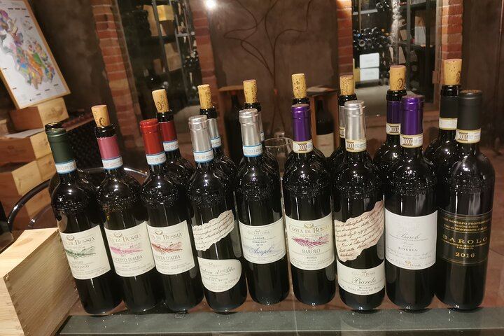 Organic Family Winery Tasting and Vineyard Tour from Alba, Led by the Grower and Winemaker (10/10)