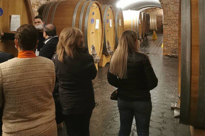 Organic Family Winery Tasting and Vineyard Tour from Alba, Led by the Grower and Winemaker (6/10)