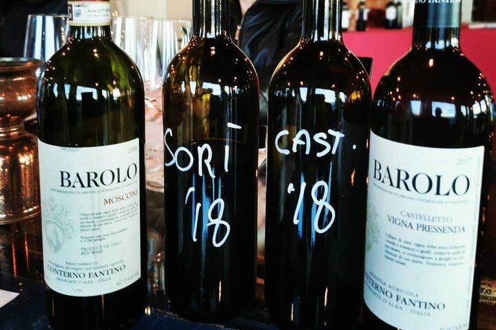 Organic Family Winery Tasting and Vineyard Tour from Alba, Led by the Grower and Winemaker (2/10)