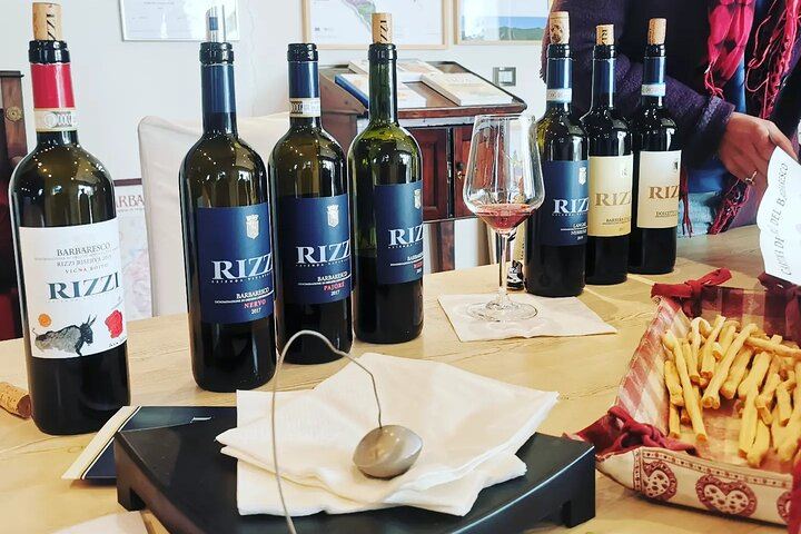 Organic Family Winery Tasting and Vineyard Tour from Alba, Led by the Grower and Winemaker (5/10)
