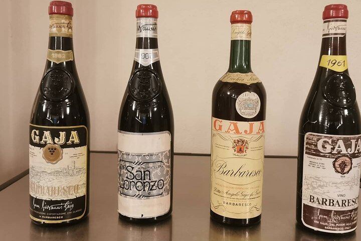 Organic Family Winery Tasting and Vineyard Tour from Alba, Led by the Grower and Winemaker (8/10)