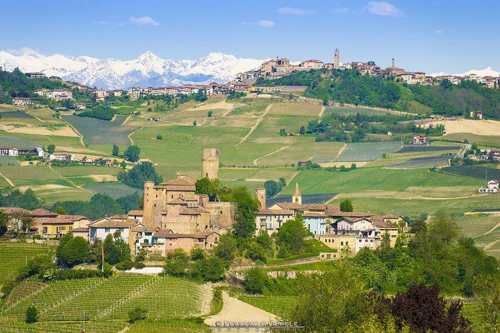 Small-Group Barolo and Barbaresco Tour by Van, Max 8 Guests, Three Wineries (1/6)