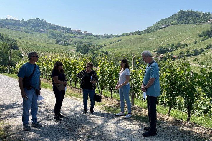 Small-Group Barolo and Barbaresco Tour by Van, Max 8 Guests, Three Wineries (4/6)