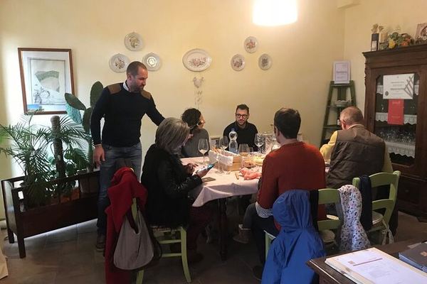Organic Family Winery Tasting and Vineyard Tour from Alba, Led by the Grower and Winemaker