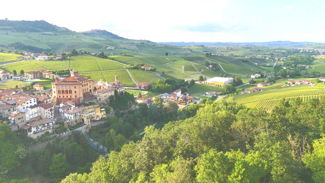 Aerial view of Barolo village surrounded by vineyards in the Langhe, Piedmont