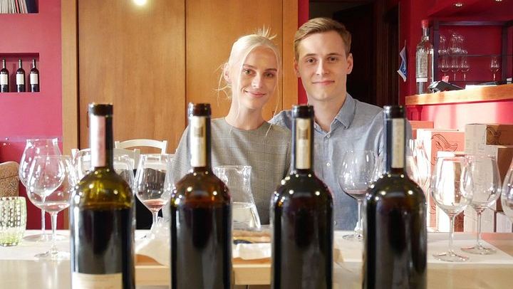Barolo Wine Route Drive from Alba with Boutique Cellar Visit and 4-5 Wine Tasting (1/7)