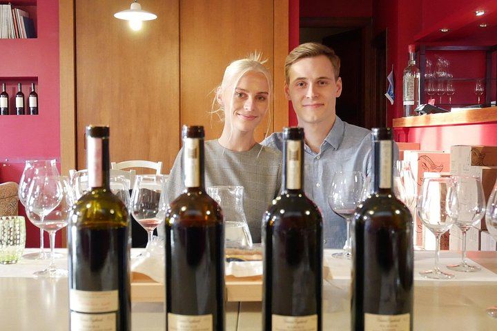 Barolo Wine Route Drive from Alba with Boutique Cellar Visit and 4-5 Wine Tasting (1/7)