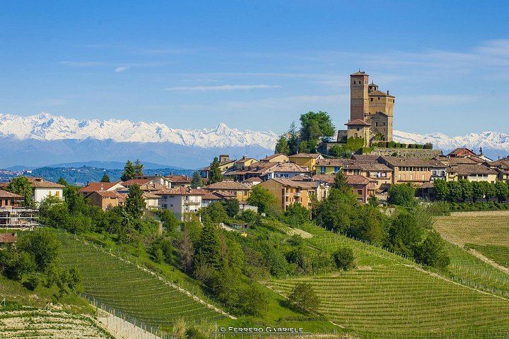 Barolo Wine Route Drive from Alba with Boutique Cellar Visit and 4-5 Wine Tasting (2/7)