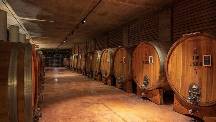 Barolo Wine Route Drive from Alba with Boutique Cellar Visit and 4-5 Wine Tasting (3/7)