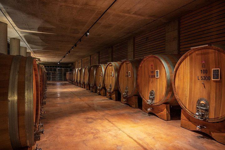 Barolo Wine Route Drive from Alba with Boutique Cellar Visit and 4-5 Wine Tasting (3/7)