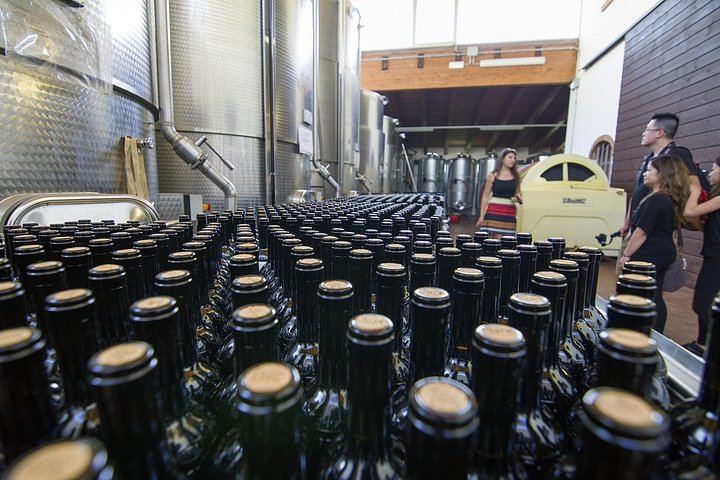 Barolo Wine Route Drive from Alba with Boutique Cellar Visit and 4-5 Wine Tasting (5/7)